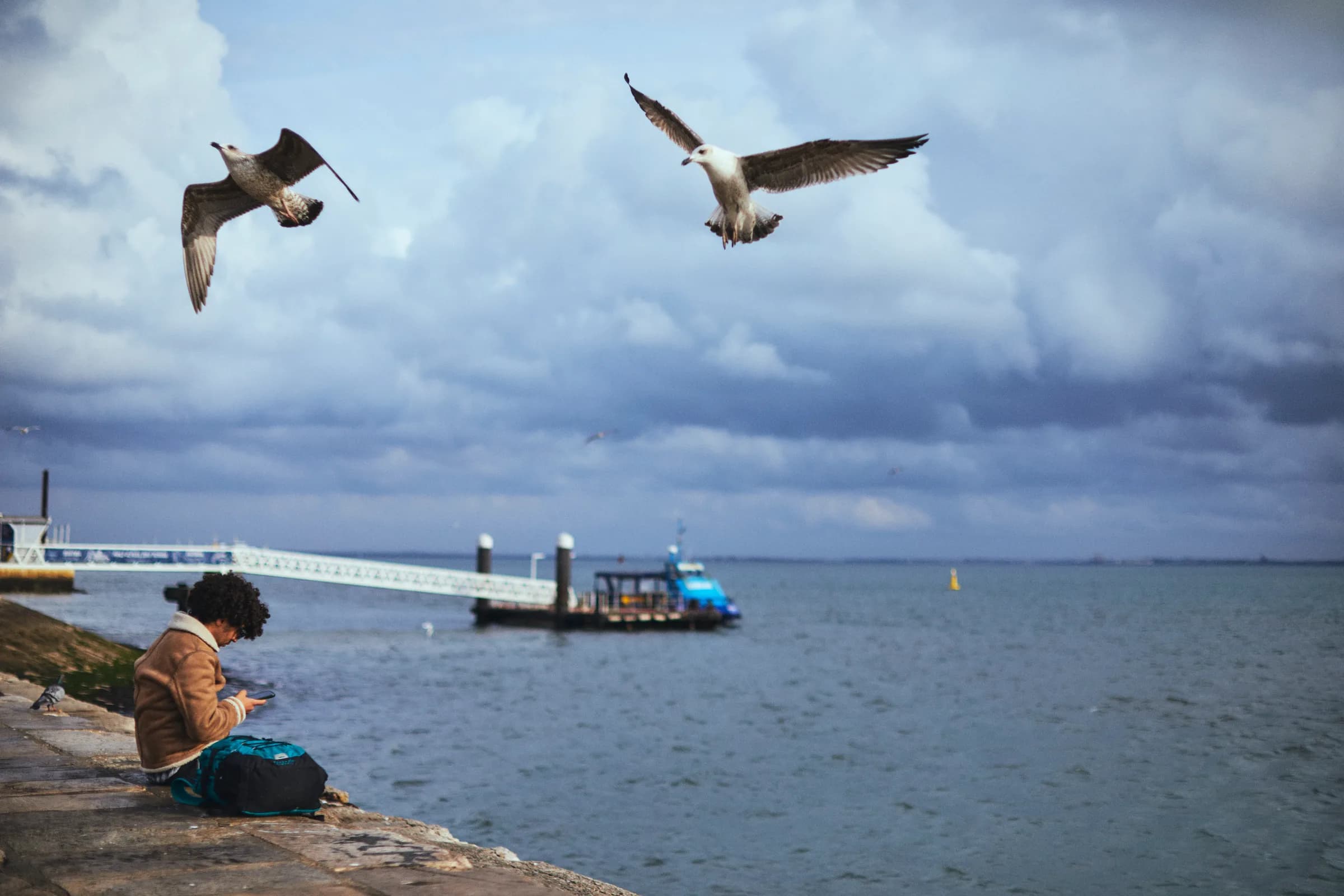 Gaviotas en vuelo sobre un joven sentado en el muelle frente al río