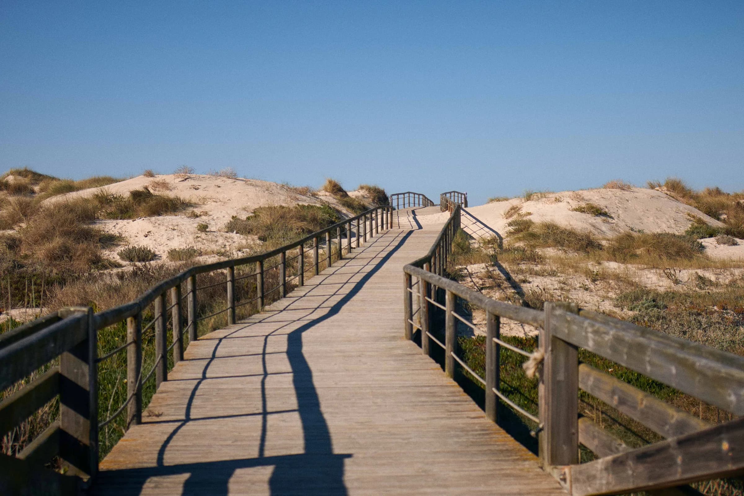 Pasarela de madera entre dunas bajo un cielo despejado