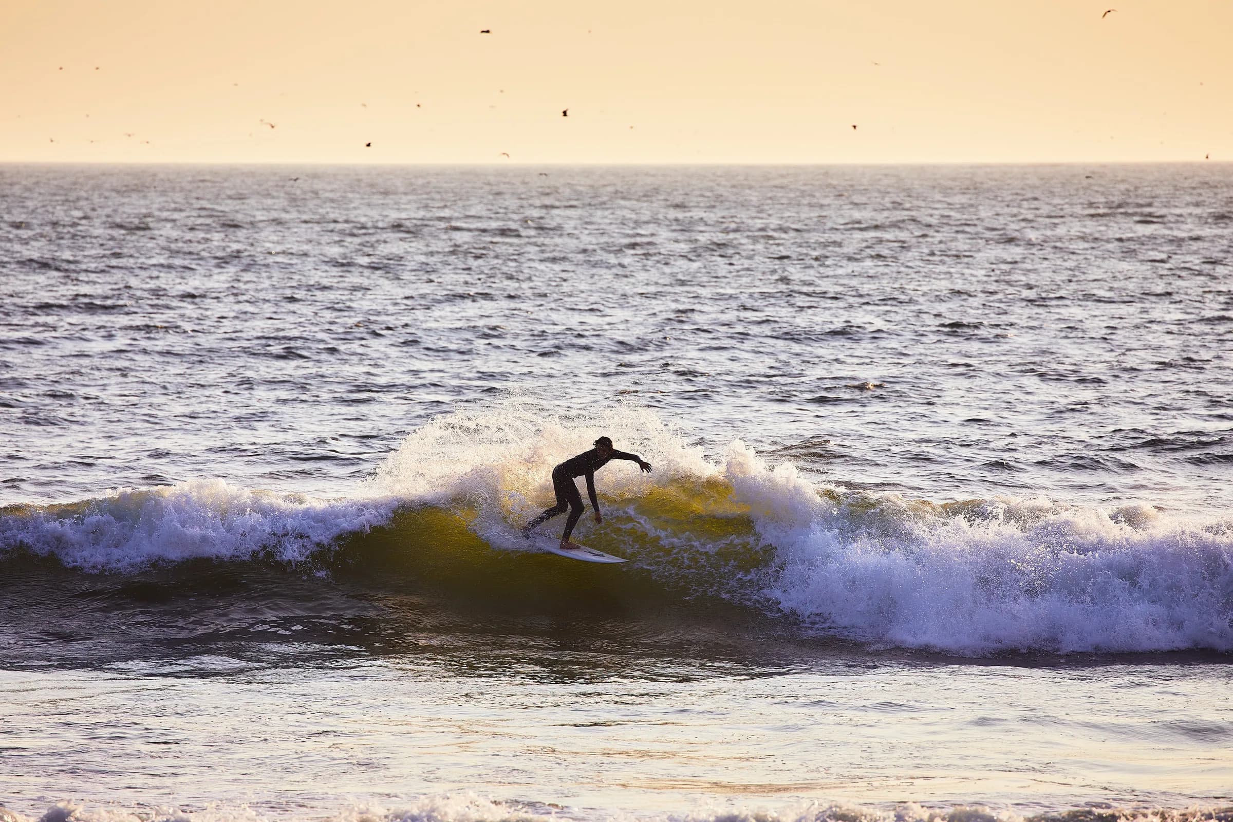 Surfista girando en la ola al atardecer con gaviotas en el cielo