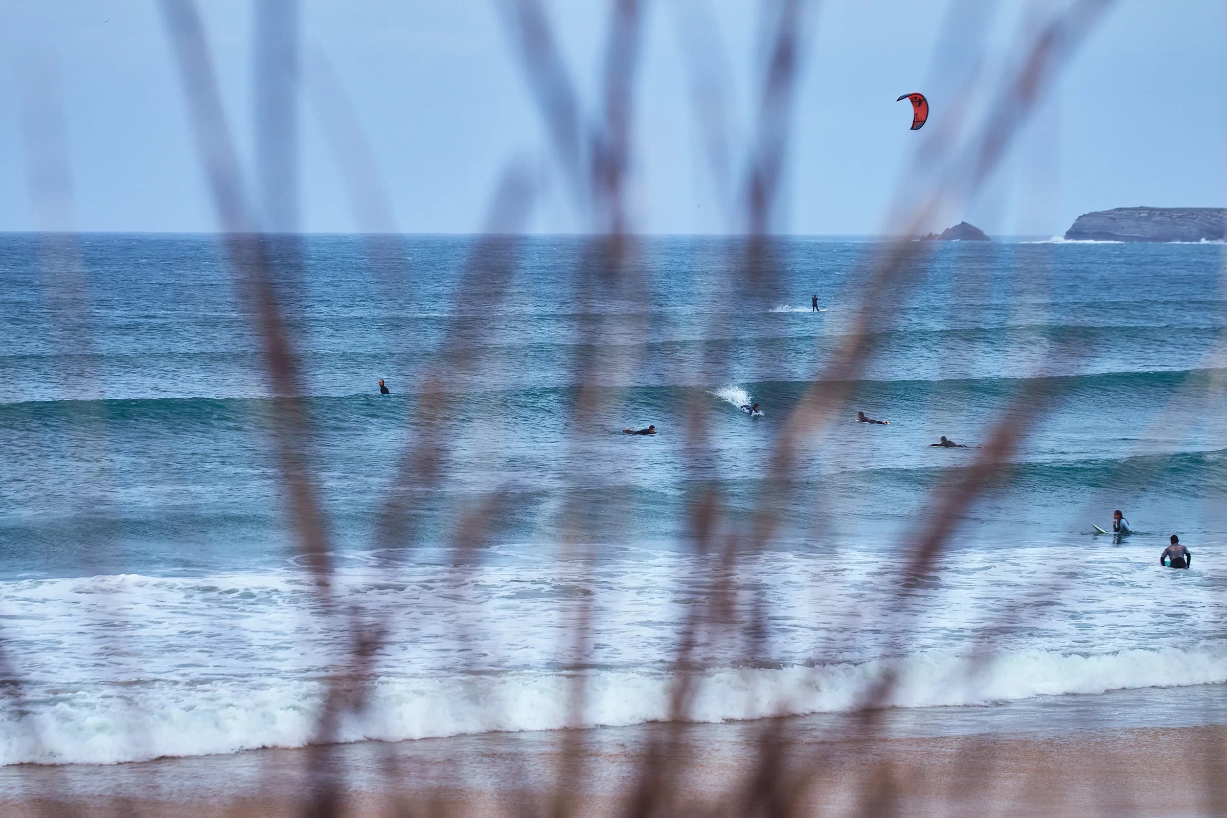 Surfistas en el agua y un kitesurf rojo vistos entre los juncos