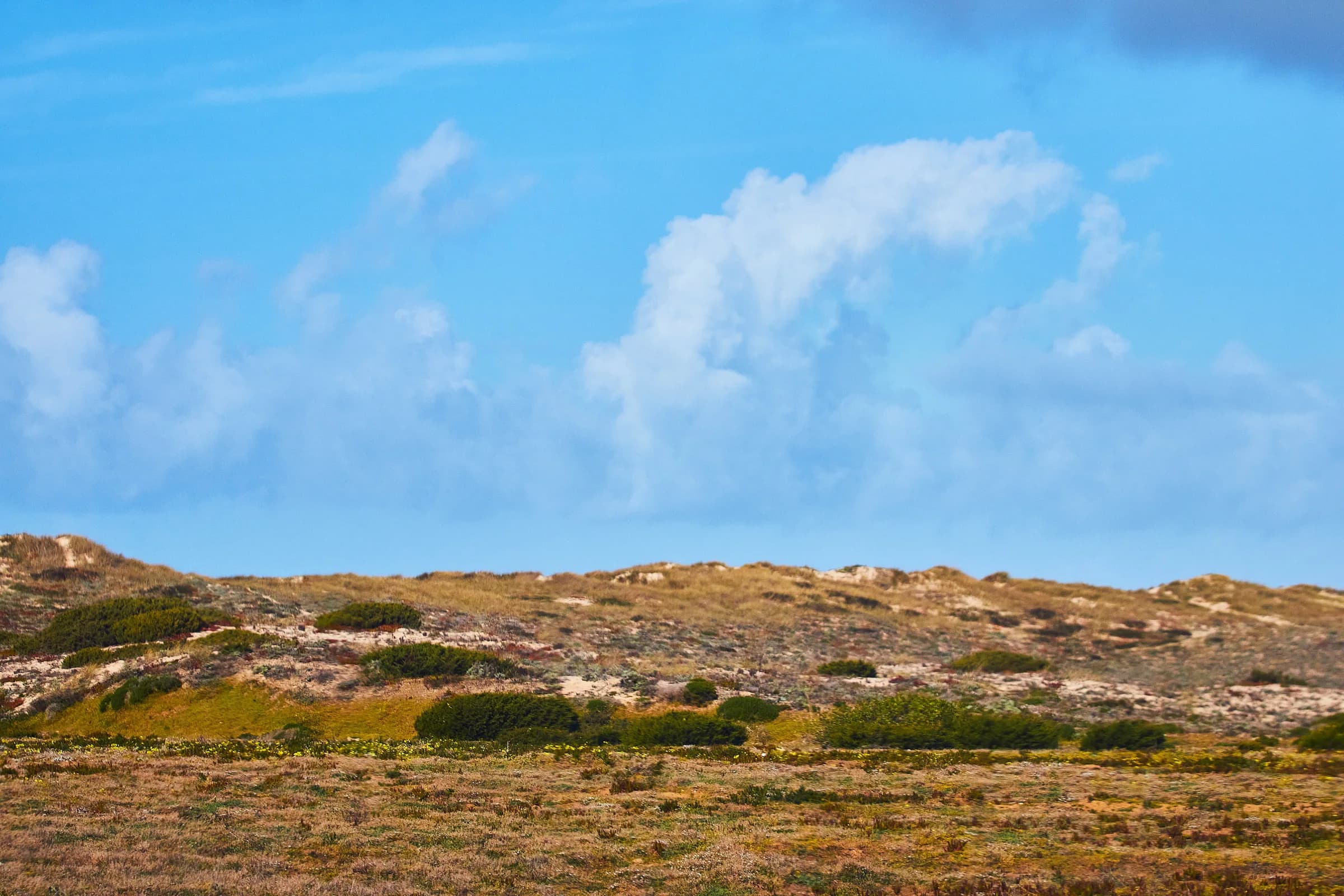 Dunas con vegetación bajo un cielo azul con nubes